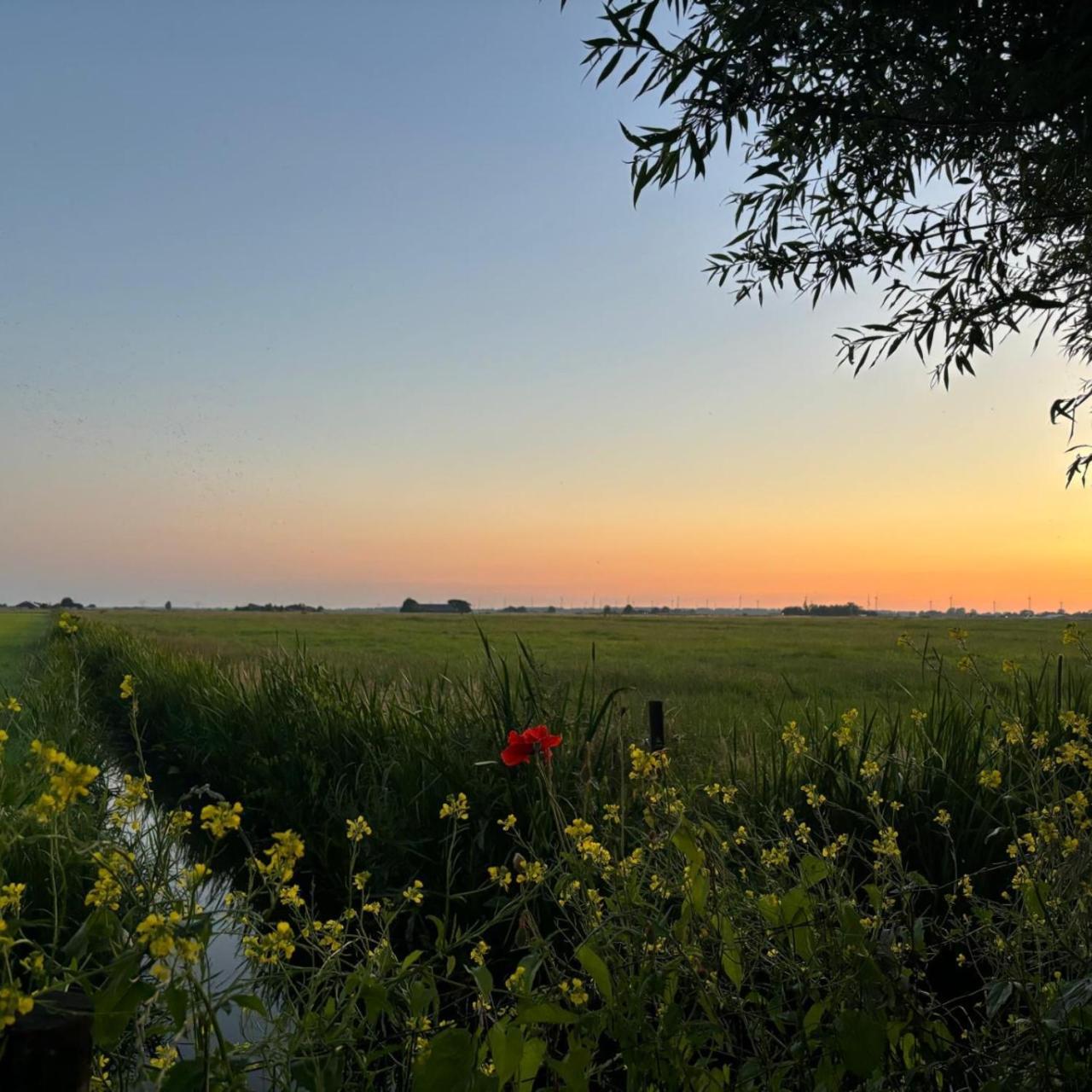 Aan De Hoge Weg Bed and Breakfast Kamperveen Exteriör bild
