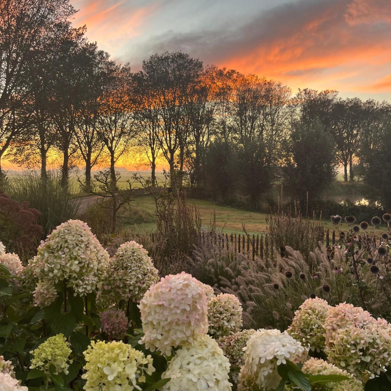 Aan De Hoge Weg Bed and Breakfast Kamperveen Exteriör bild