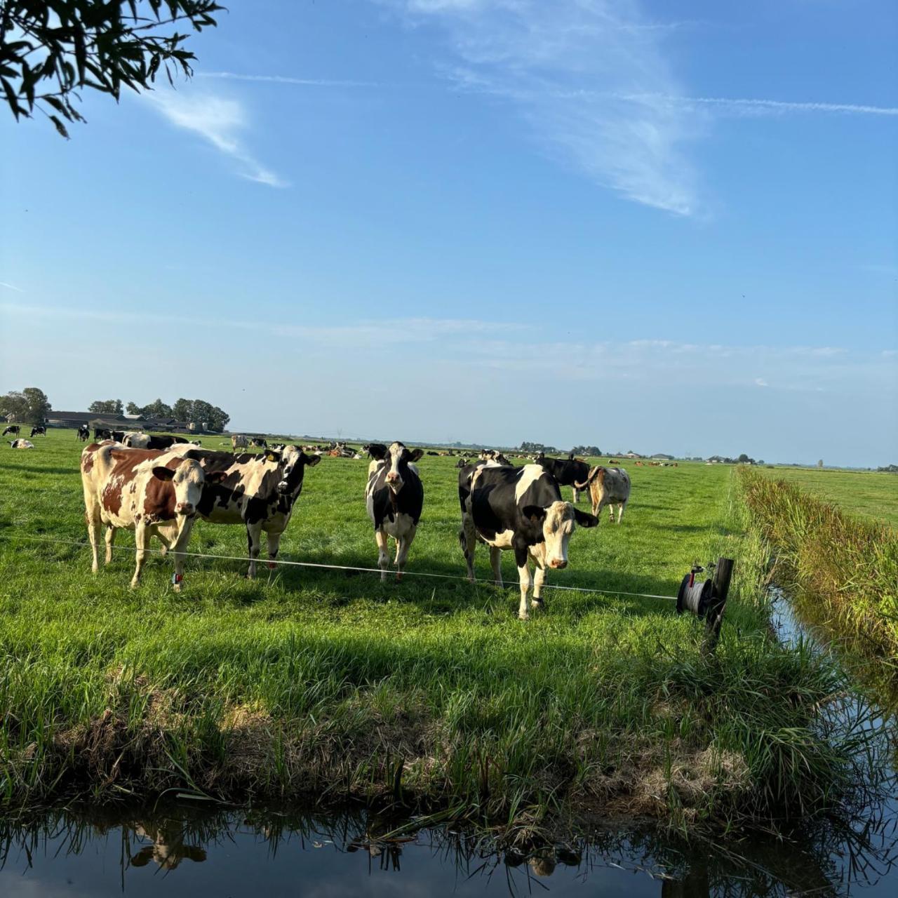 Aan De Hoge Weg Bed and Breakfast Kamperveen Exteriör bild